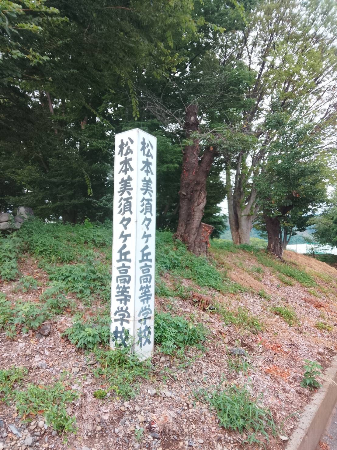 Image (4)